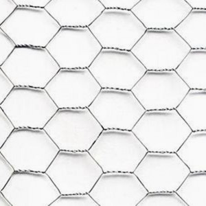 ODM Chicken Wire Fence