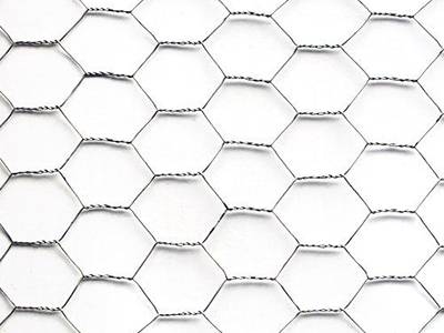 ODM Chicken Wire Fence