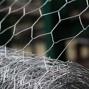 ODM Chicken Wire Fence